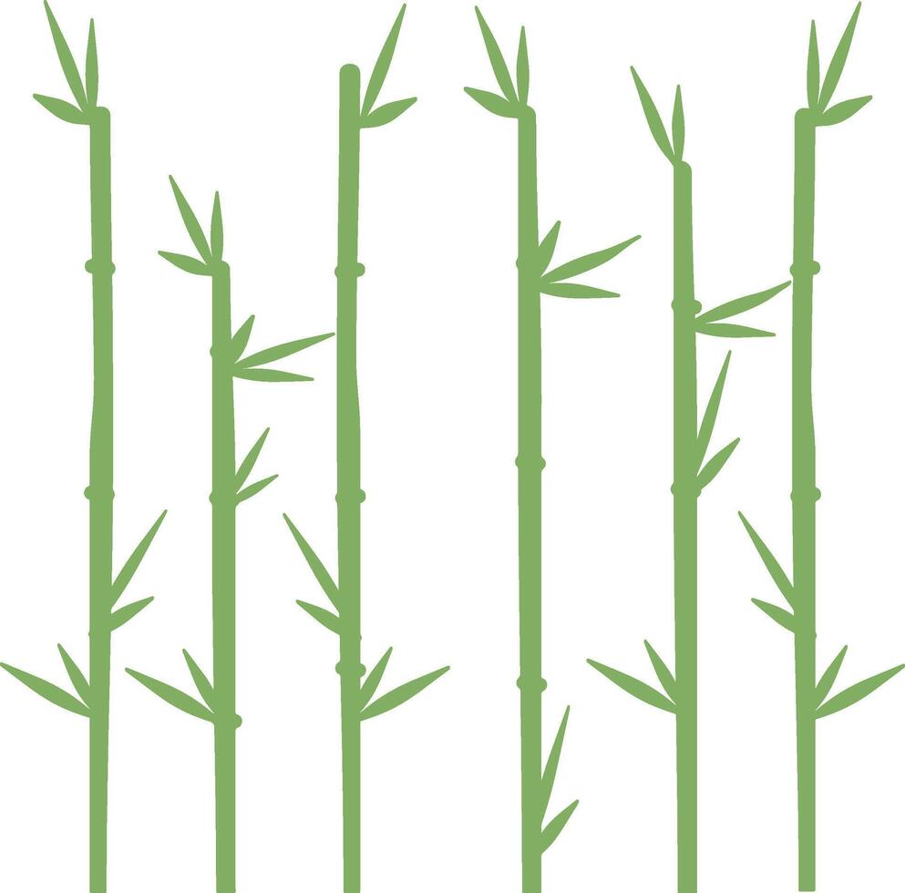 Simple Bamboo Plant . vector