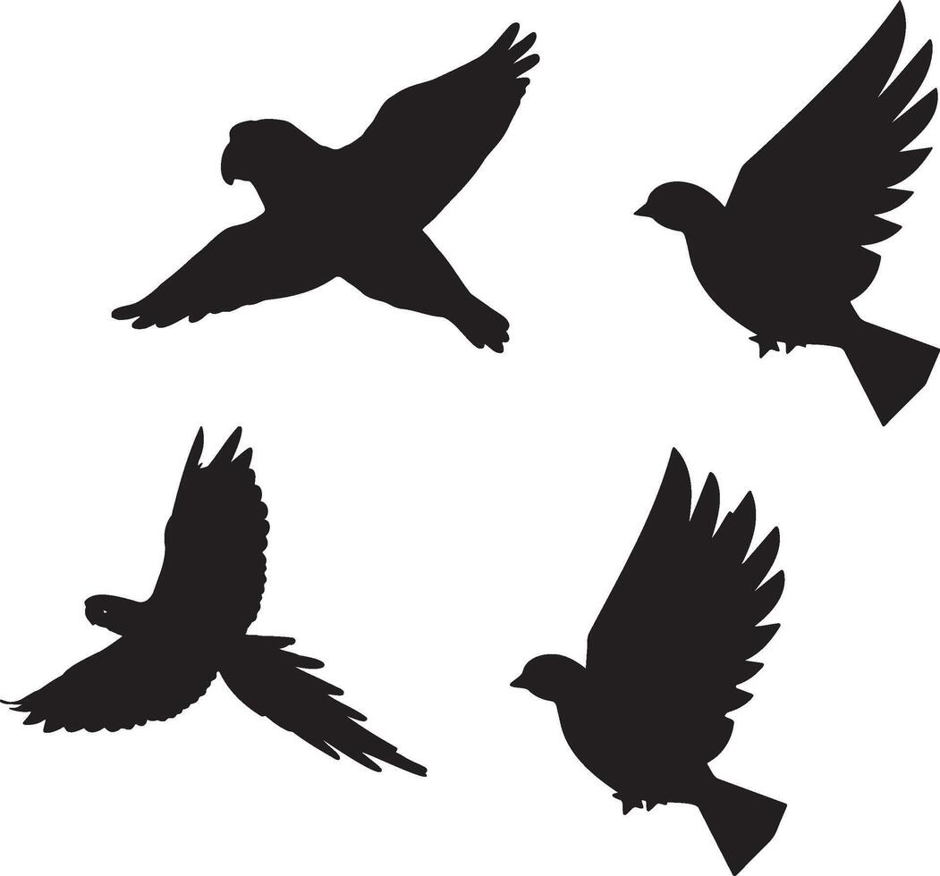 Flying Bird Silhouettes Collection. vector