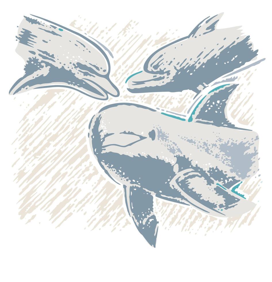 Illustration of dolphins in close-up. vector