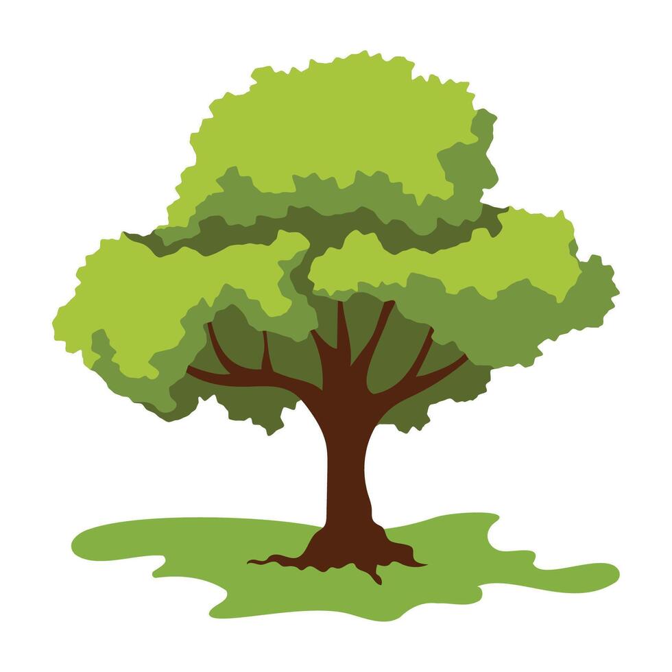 Tall Tree with Sparse Leafy Branches vector