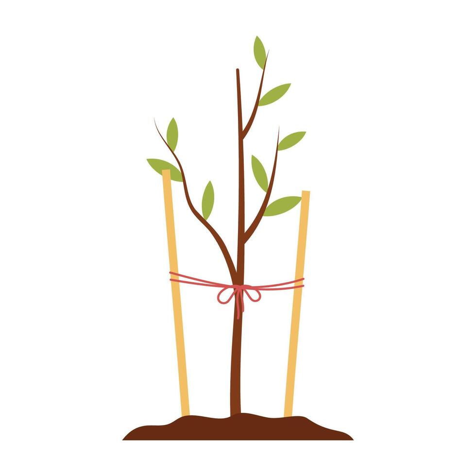 Gardening Supplies and Vegetable Cultivation Icons Set. vector