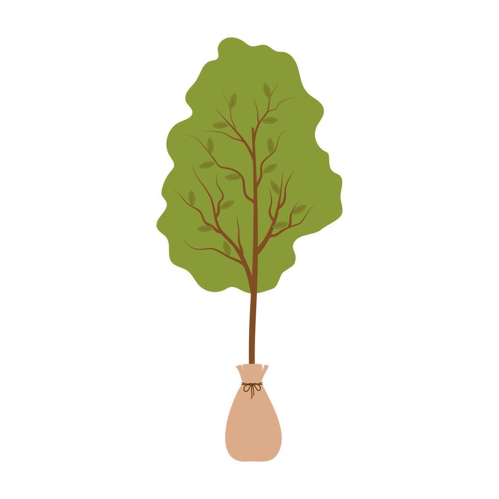 Gardening Tools and Essentials Illustration. vector