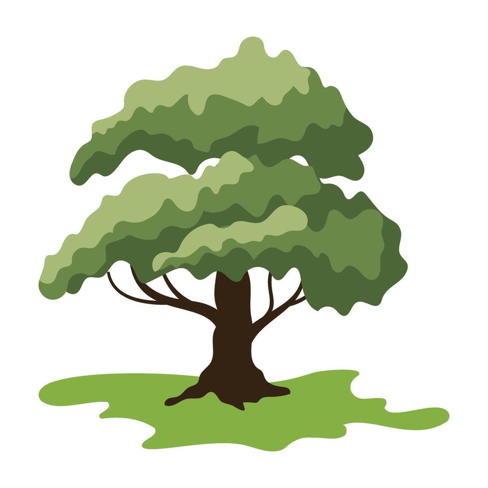Elegant Tree with Curvy Leafy Crown vector
