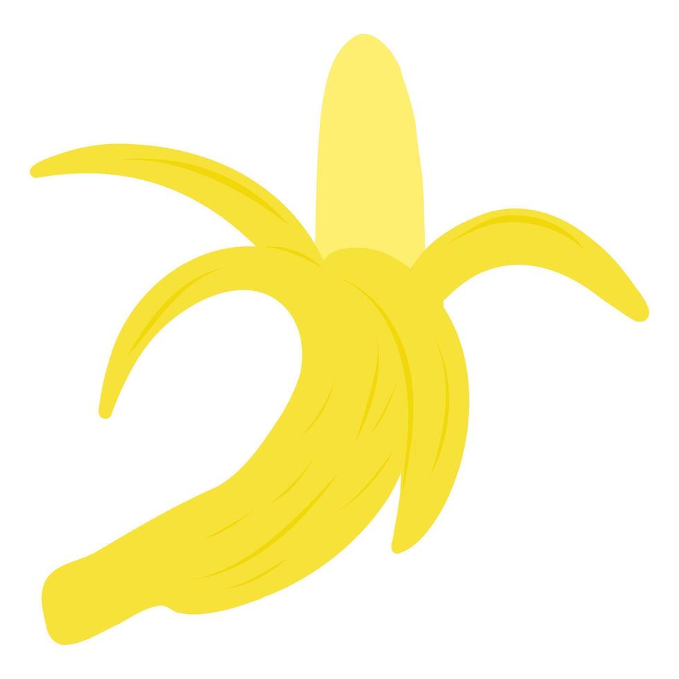 Half Peeled Banana illustration, hand drawn cartoon illustration of banana. Banana fruit illustration for cards, designs, invitations, logos. vector