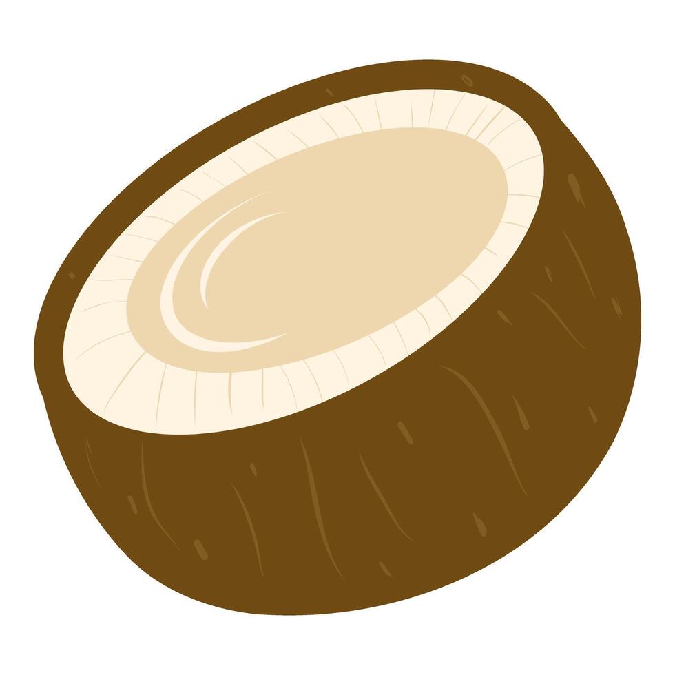 Coconut half piece illustration, Coconut fruit. Tropical fruit icon for cards, designs, invitations, logos vector