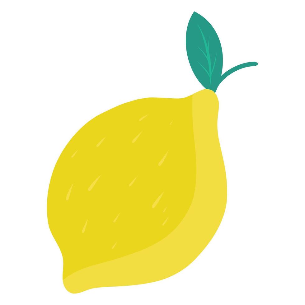 Fresh whole Lemon fruit. Hand drawn illustration. Lemon fruit illustration for cards, designs, invitations, logos vector