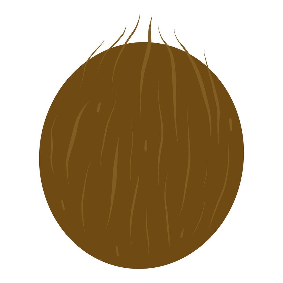 Coconut illustration, Coconut fruit. Tropical fruit icon for cards, designs, invitations, logos vector