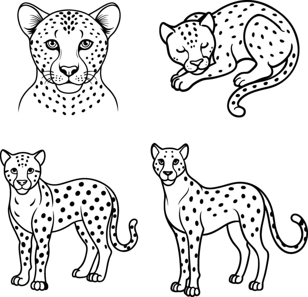 A beautiful collection of cheetah line art in various poses. vector