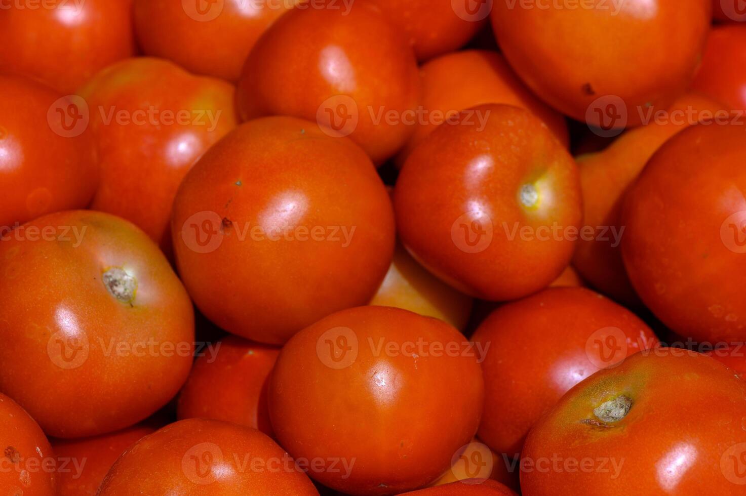 Freshly harvested tomatoes gleaming under natural light, ready for culinary delights in a vibrant market photo