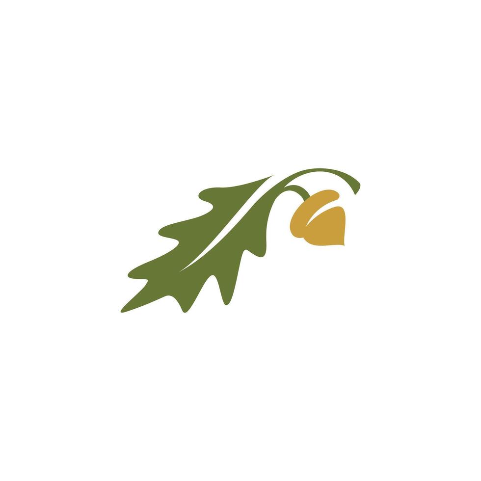 Oak leaf and acorn logo, simple and clean style vector