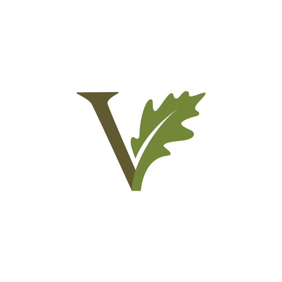 letter V oak leaf logo, Simple and Clean Illustration vector