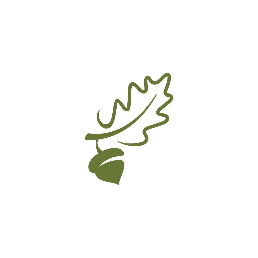 oak leaf wih acorns line style logo. vector