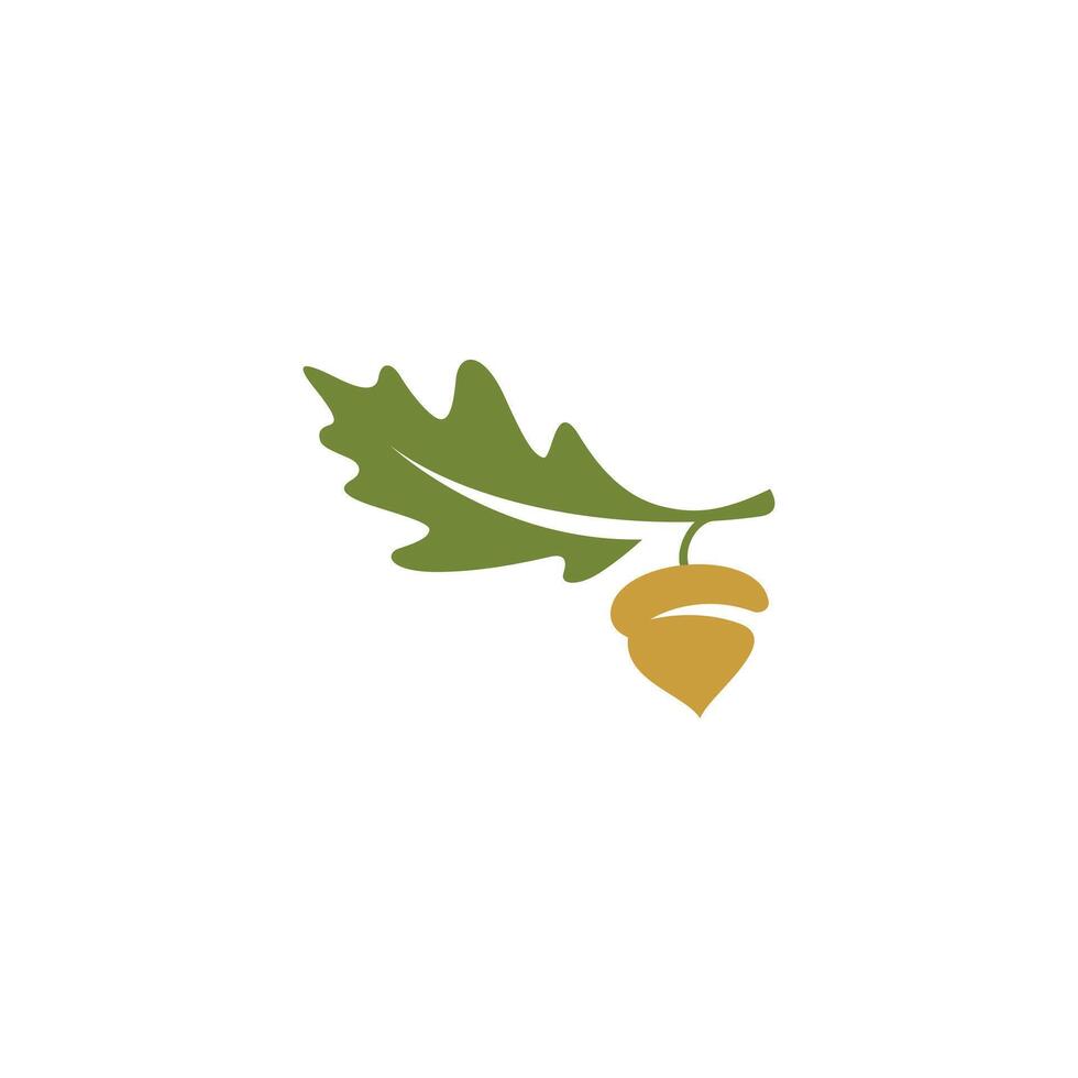 Oak leaf and acorn logo, icon, symbol, nature element vector