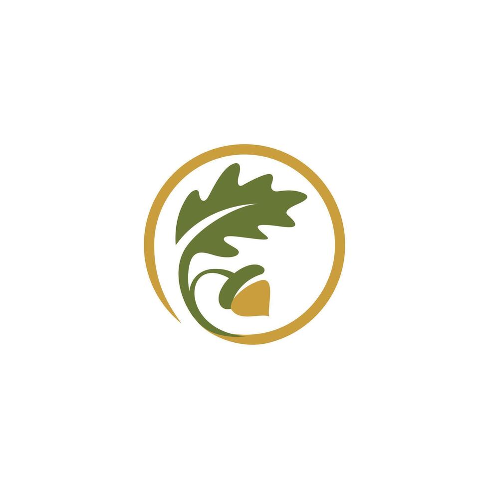 oak leaf with acorns logo circle shape line illustration icon vector