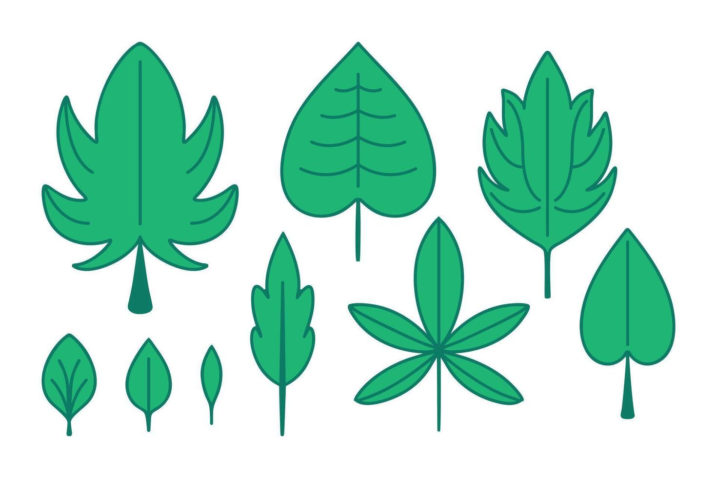 Green summer tree Foliage. Set of isolated different types of Leaves. Botanical elements Nature. Ecological decor. Vegetation, plant. Symmetrical icons. Flat design with outline. illustration vector