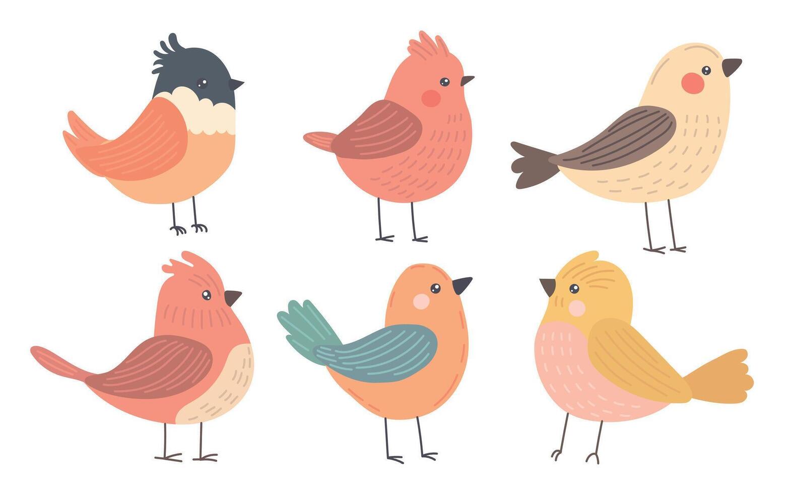 Six colorful cartoon birds with round bodies and soft feathers perch joyfully, ideal for spring wildlife art, nursery decor, or cute seasonal illustrations vector