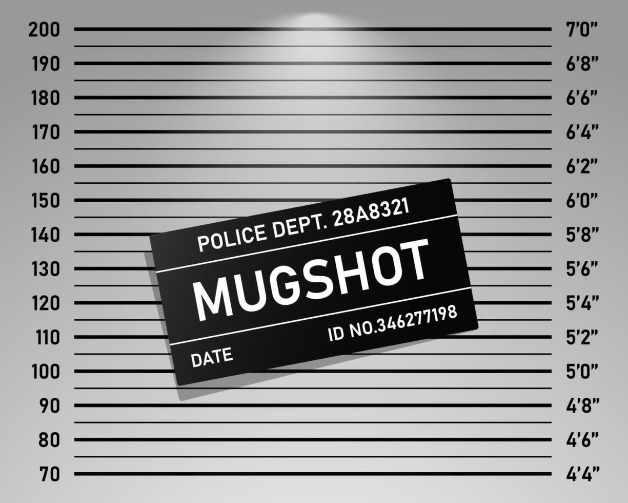 Police mugshot template. background set of police lineup centimeter scale and inch unit or mugshot board with text signs for criminals photo vector