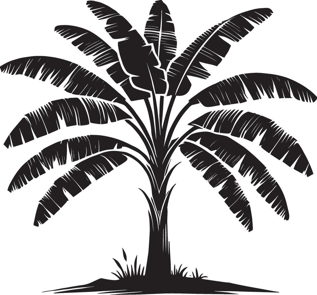 Banana tree silhouette illustration vector