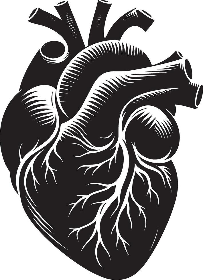 Human heart in woodcut style illustration vector