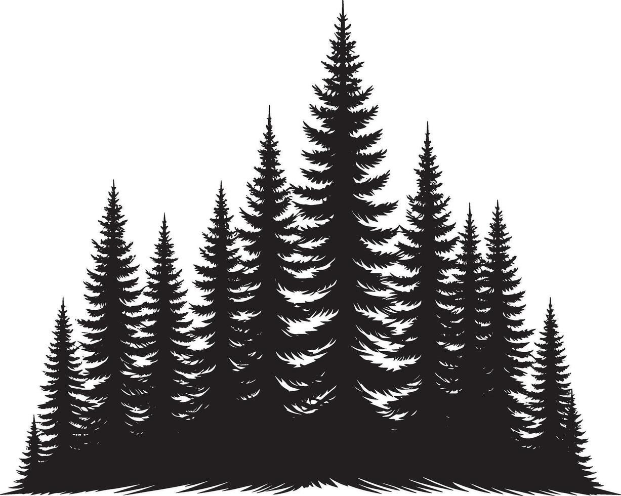 A silhouette of pine trees on a white background vector