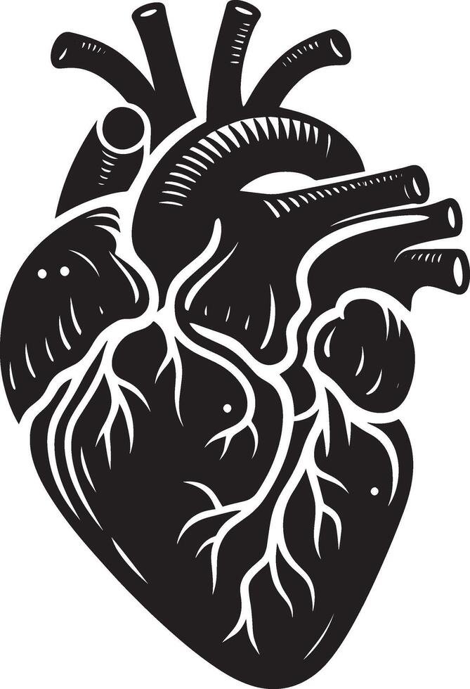 Human heart illustration vector