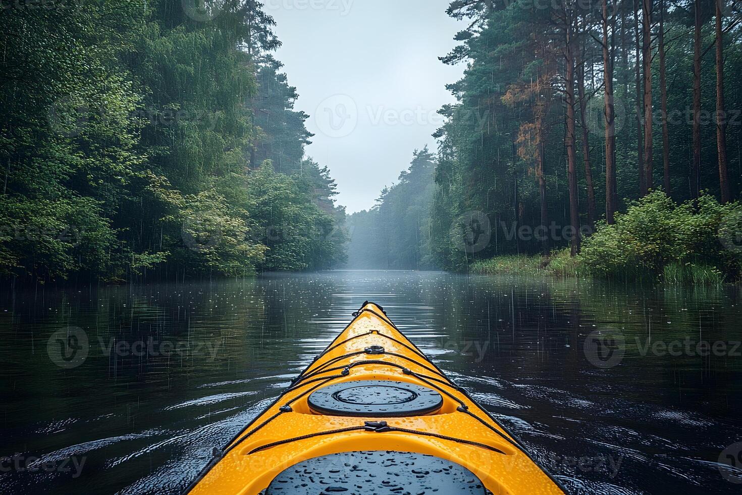 Kayaking Adventure Through Serene Forest Lake on a Misty Day Nature Exploration photo