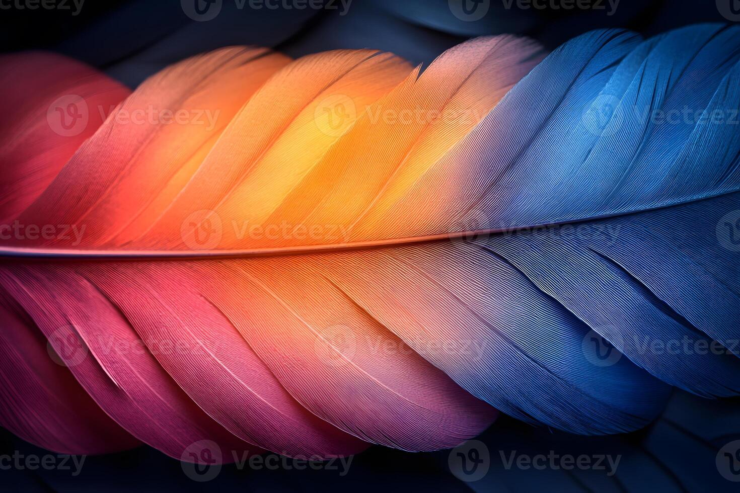 Vibrant Feather in Gradient Colors for Artistic and Design Projects photo