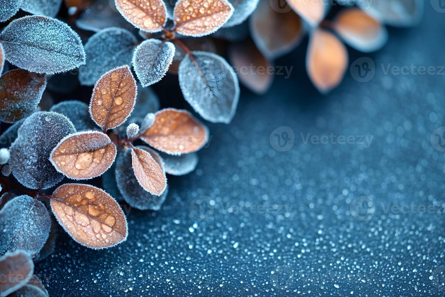 Frost-Kissed Autumn Foliage Nature's Transition to Winter - Design for Seasonal Cards photo