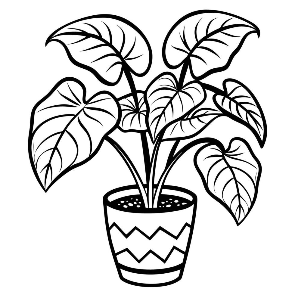 Vibrant Patterned Potted Caladium and Exotic Floral Plant Display vector