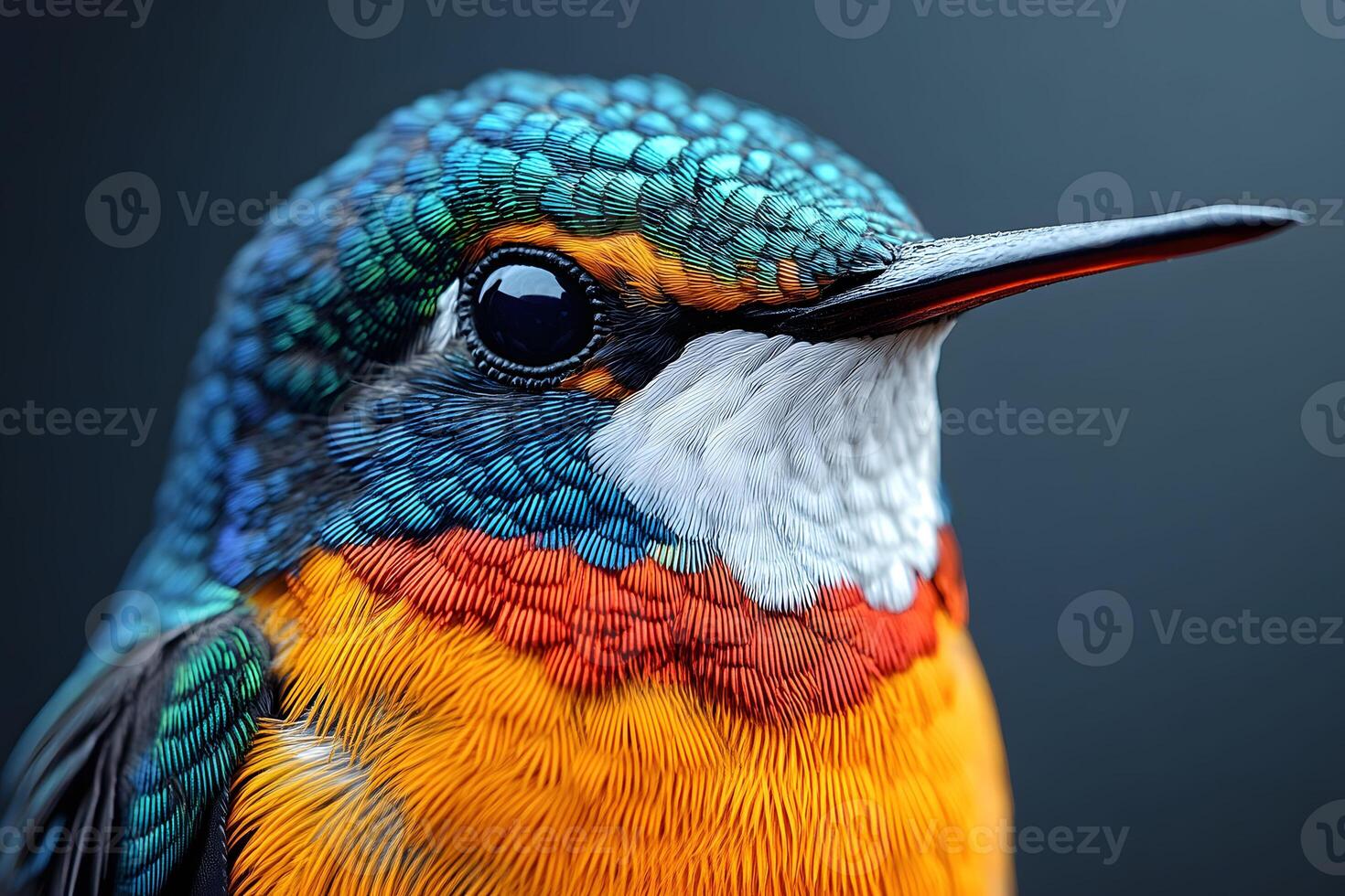 Vibrant Close-Up of Colorful Bird with Detailed Feathers for Nature Design photo