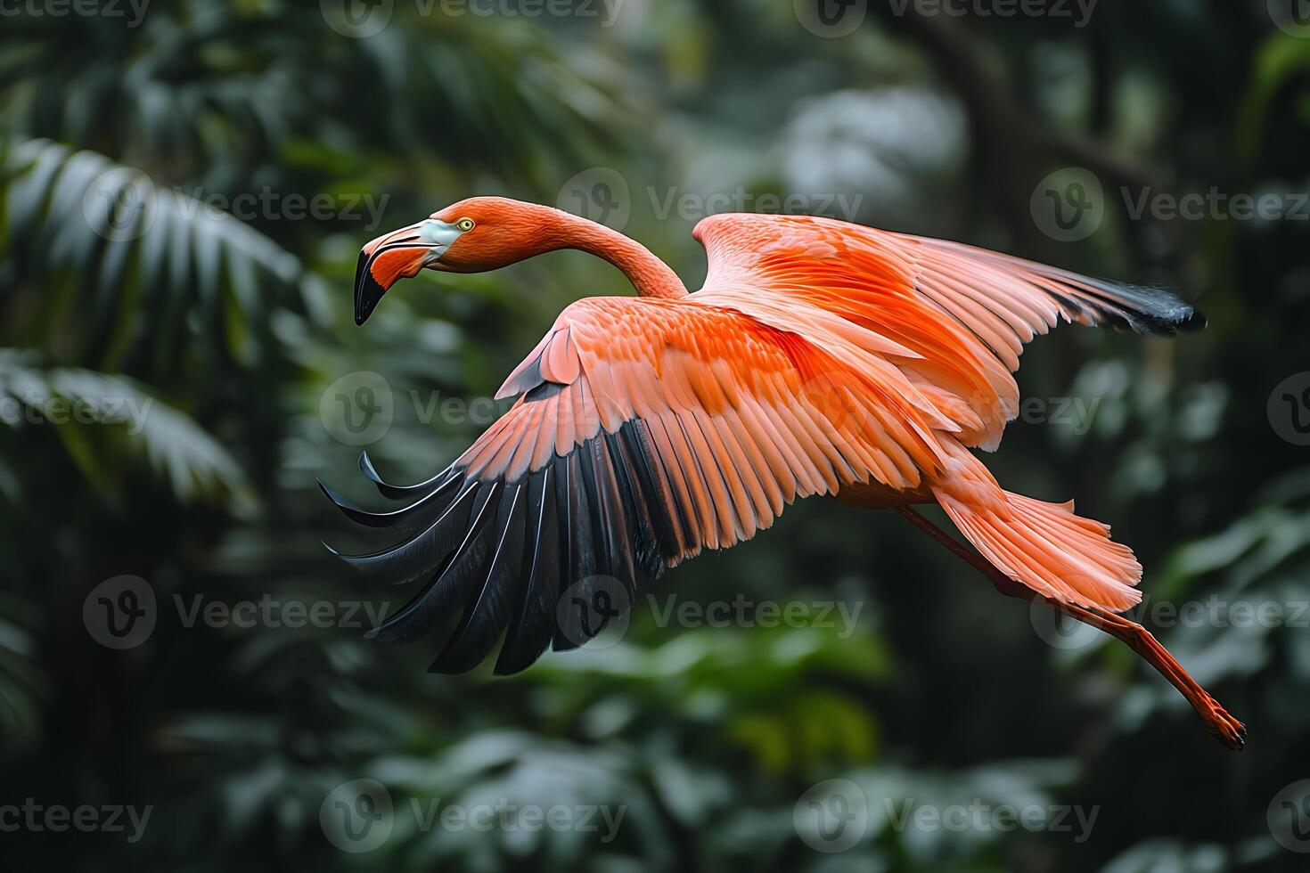 Graceful Flamingo in Flight over Lush Tropical Foliage photo