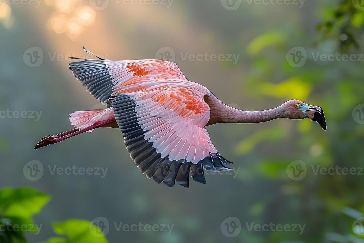 Graceful Flamingo in Flight Over Lush Greenery at Sunrise photo