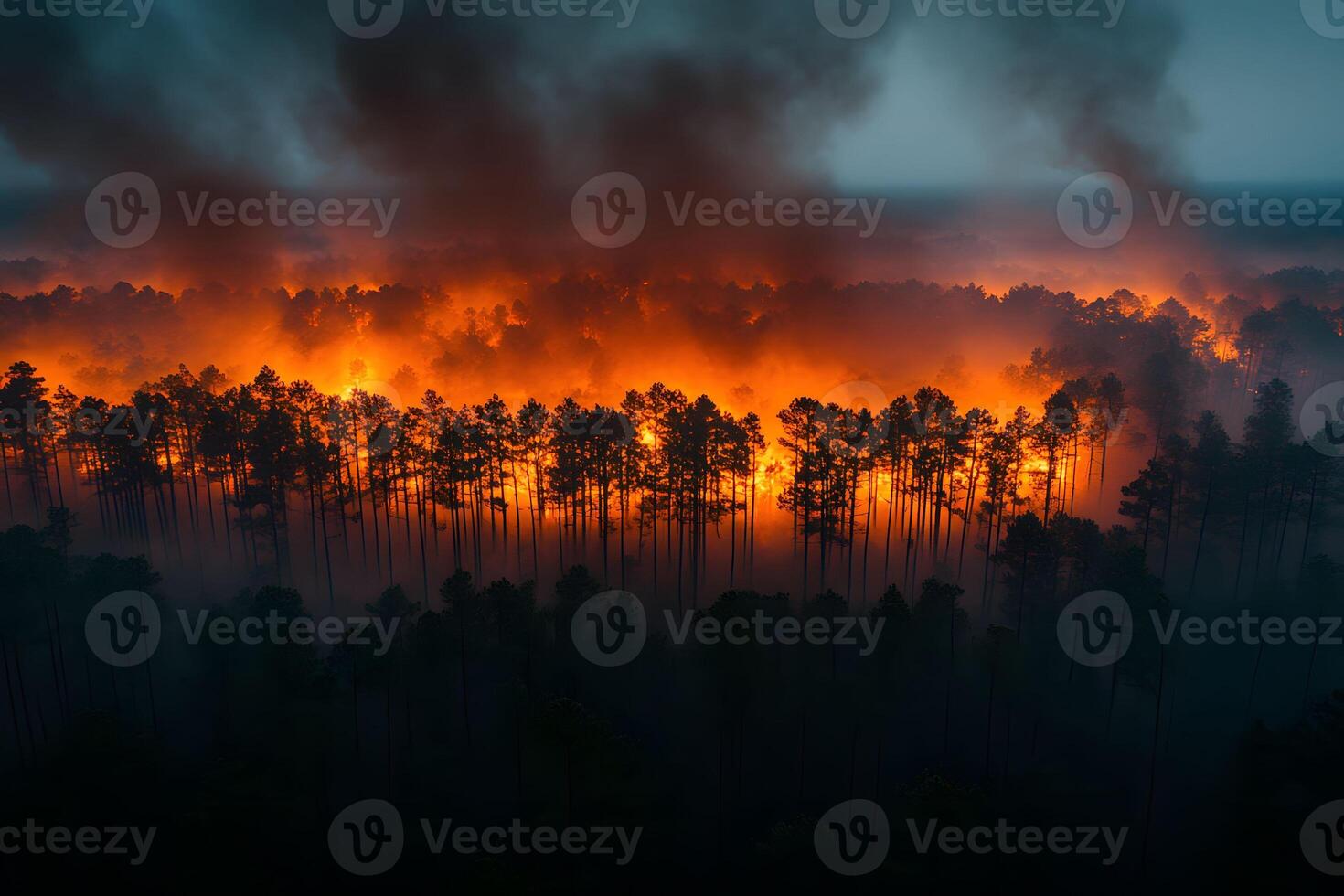 Dramatic Forest Fire Scene at Dusk for Environmental Awareness and Disaster Response photo