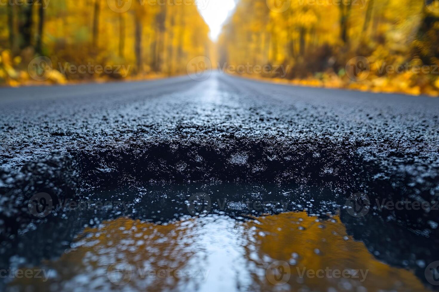 Autumn Road Adventure Vibrant Foliage and Asphalt Texture for Travel and Nature Themes photo