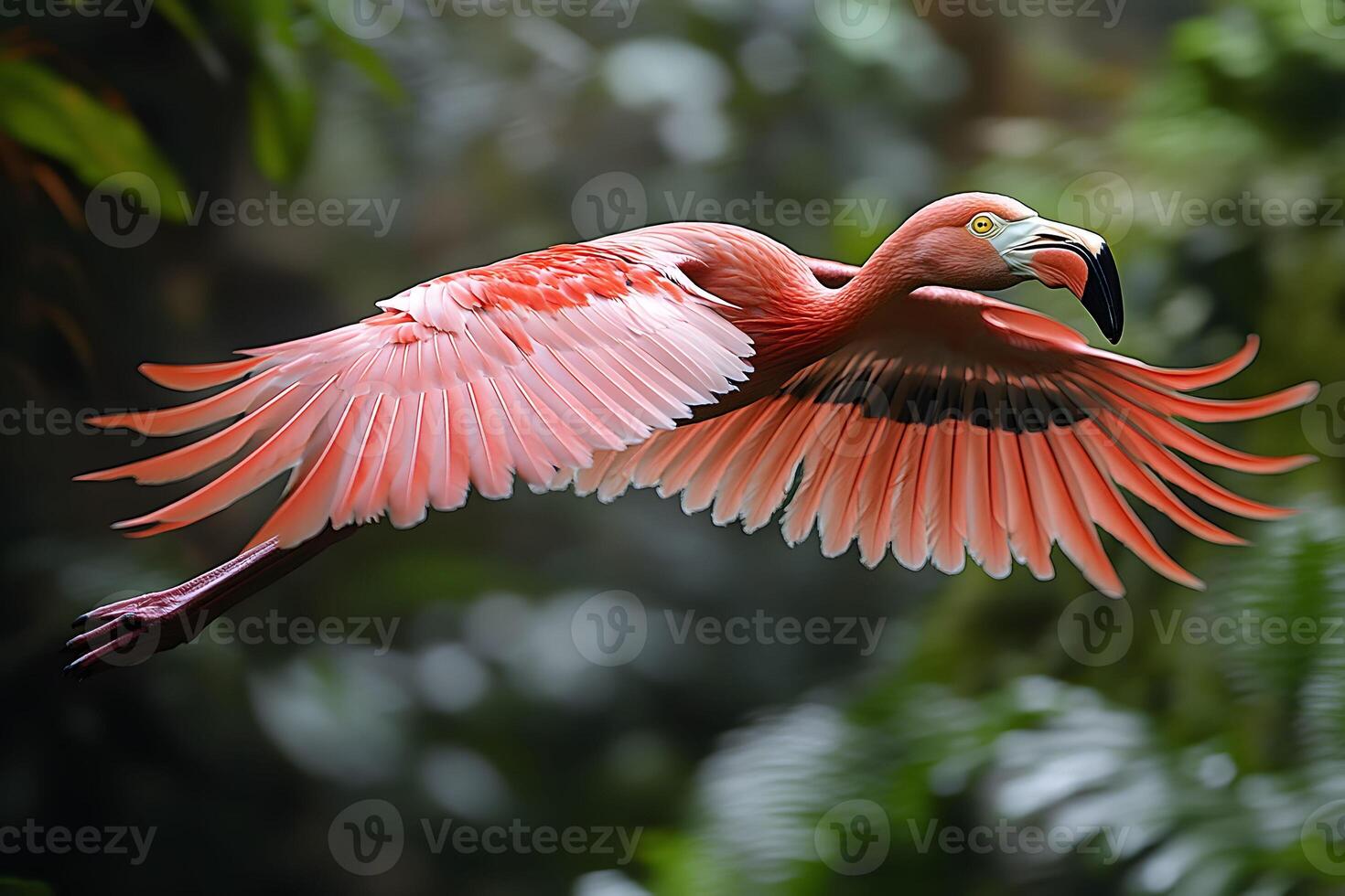 Graceful Flamingo in Flight Over Lush Greenery - Nature Photography for Wildlife Enthusiasts photo