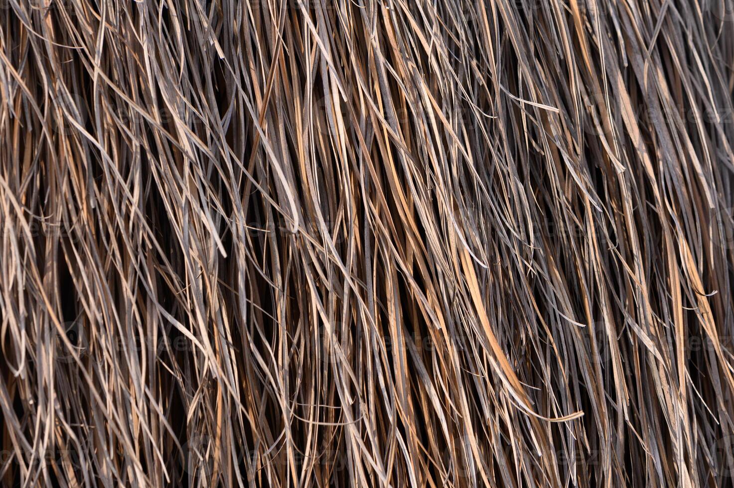 Detailed patterns of dry straw in sunlight creating a warm and rustic texture at a rural location photo