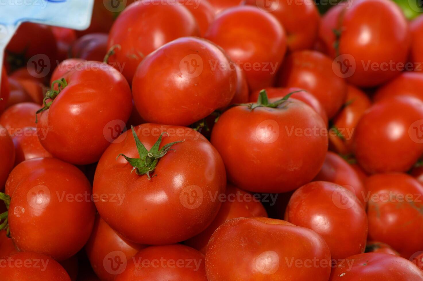 Freshly harvested ripe tomatoes piled high at a vibrant farmers market in the early morning sunshine, showcasing nature's bounty photo