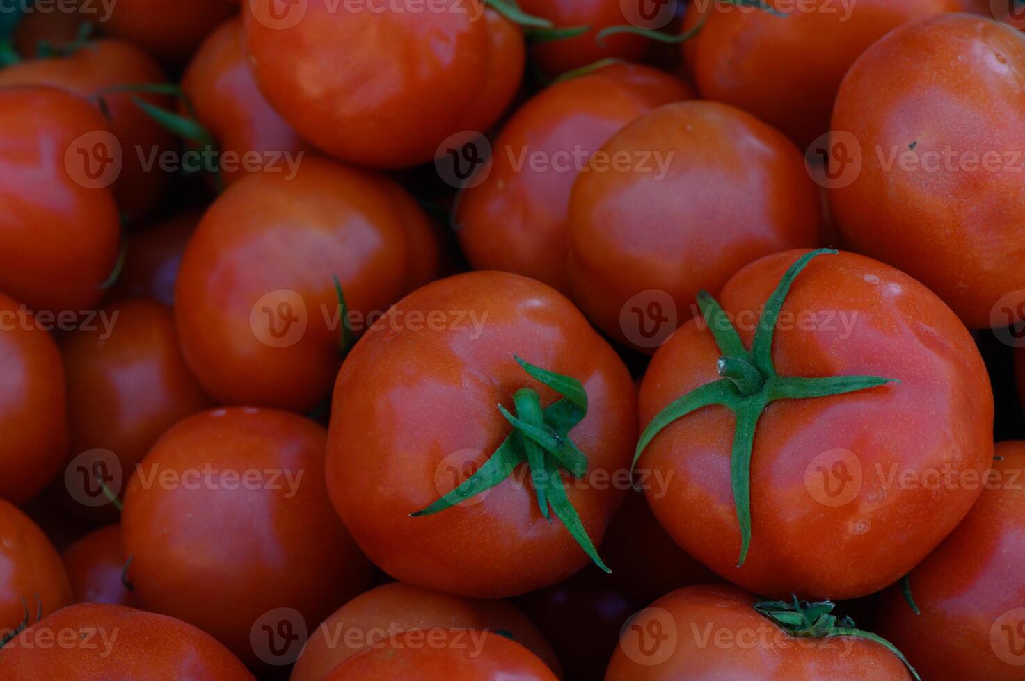 Freshly harvested tomatoes shine bright under the sun, showcasing their vibrant red color and lush green stems at a local farm market photo