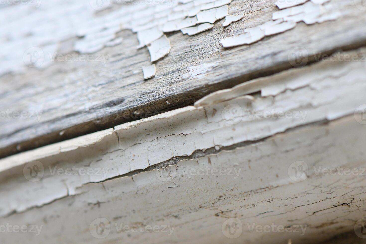 Weathered wood reveals intricate textures and stories from years of exposure to the elements photo
