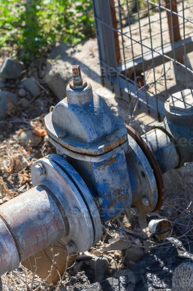 Curbside water valve surrounded by gravel and greenery in a sunlit urban setting photo