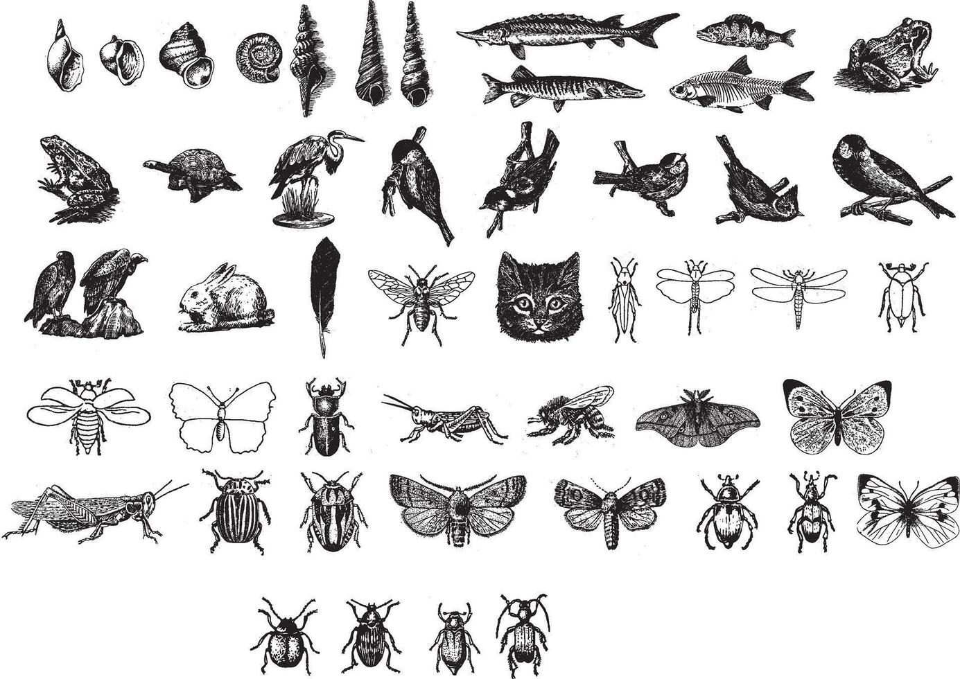 a set of black and white illustrations of various animals vector