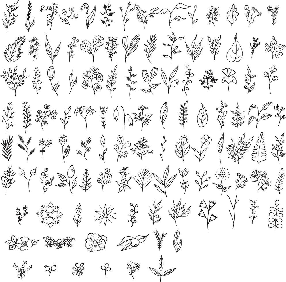 a set of hand drawn flowers and leaves vector