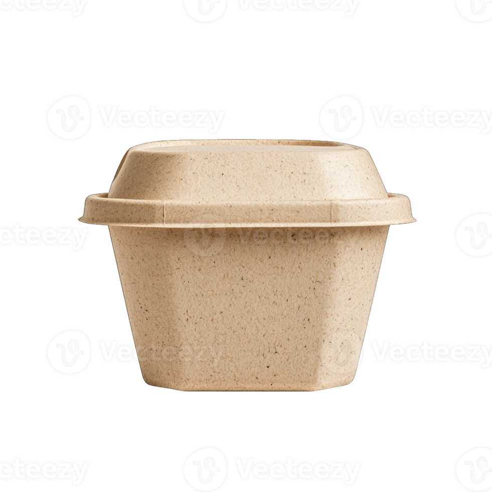 Eco friendly container food packaging biodegradable takeout box mockup png