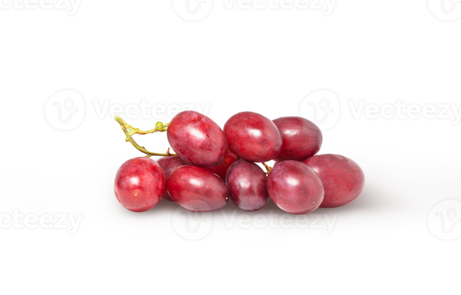 Small red grape cluster isolated. Fresh wine grape with clipping path. png