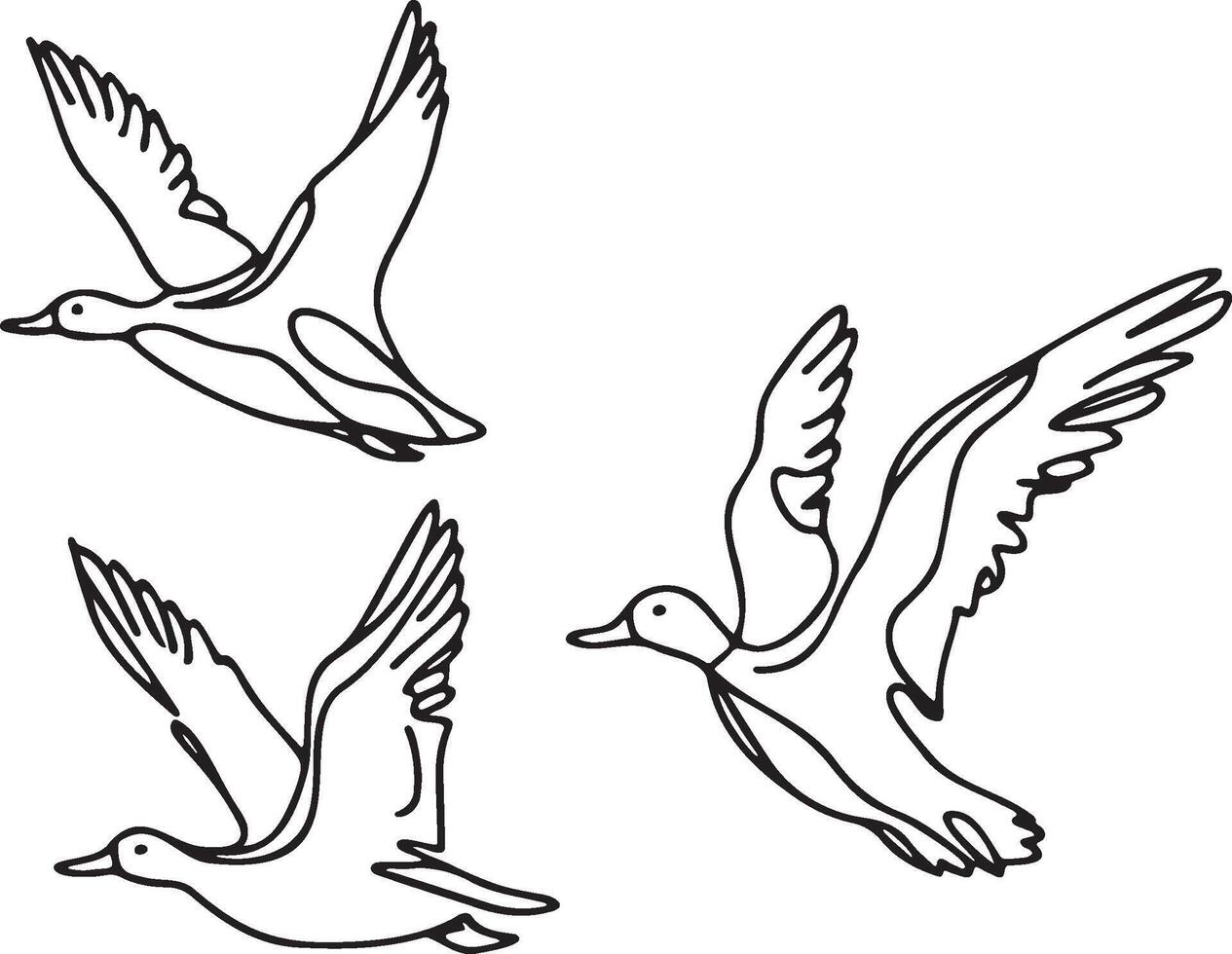 Wild Ducks Flying Line Art. vector