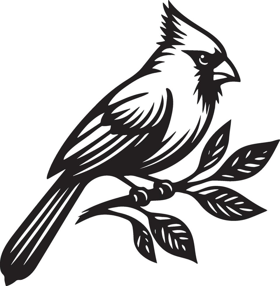 Red Cardinal Illustration. vector