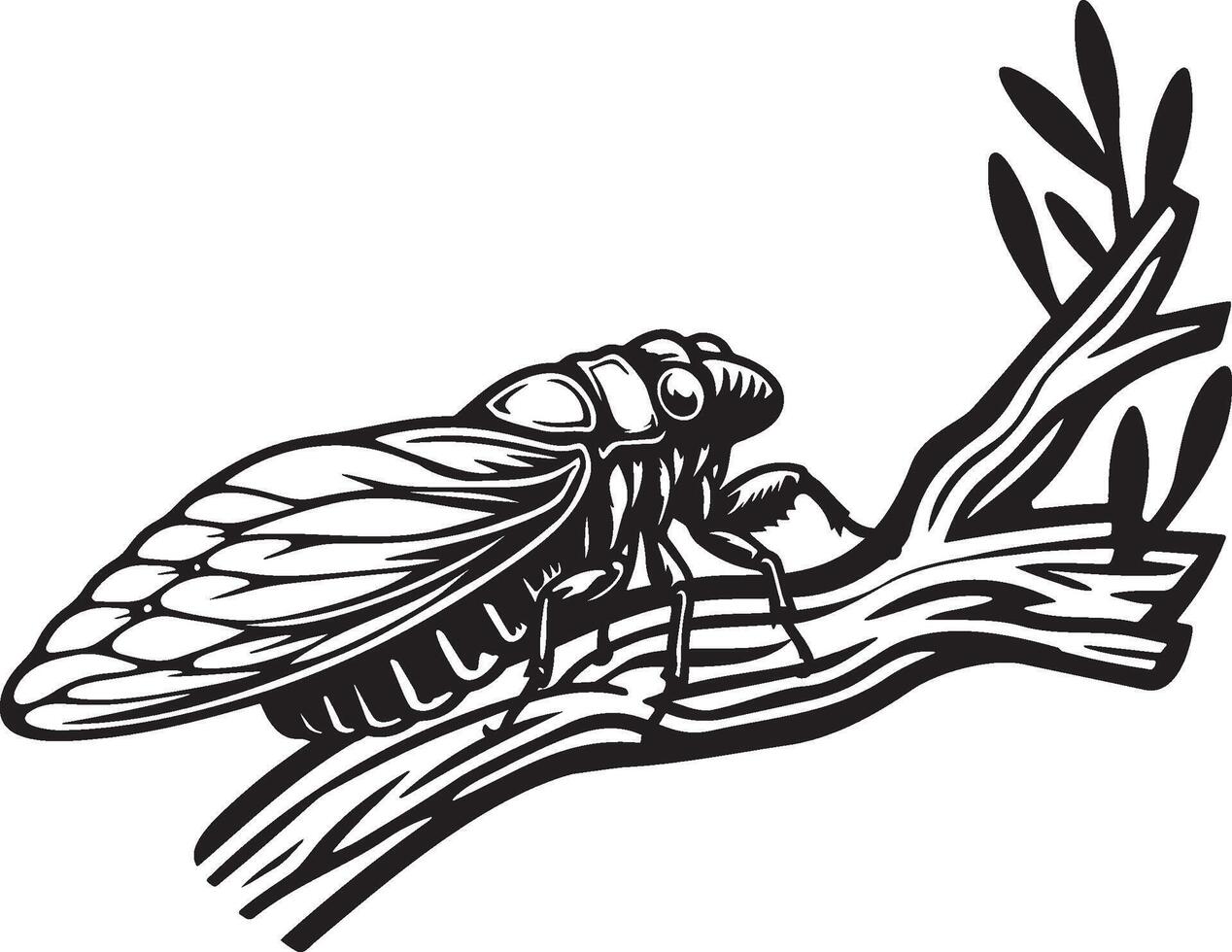Cicada on Branch Sketch Illustration. vector