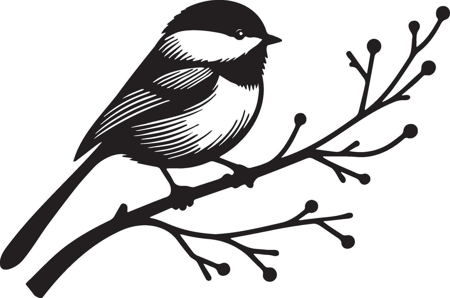 Chickadee Standing on Branches Illustration. vector