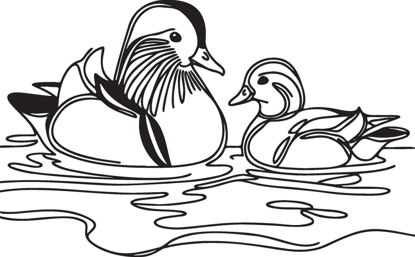 Mandarin Duck Couple Line Drawing. vector