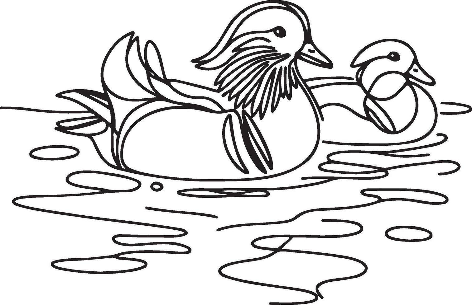 Mandarin Duck Couple Line Art. vector